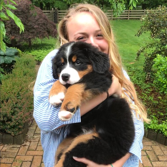 Meet your Posher, Shayne - Picture 1 of 2